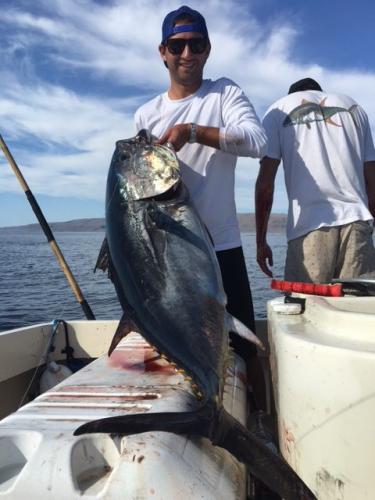 keith-appel-shot-e1521869403883 (1)